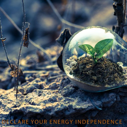 Declare Your Energy Independence